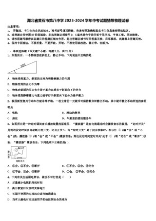 湖北省黄石市第八中学2023-2024学年中考试题猜想物理试卷含解析.doc