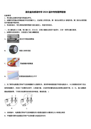 湖北省龙感湖中学2024届中考物理押题卷含解析.doc