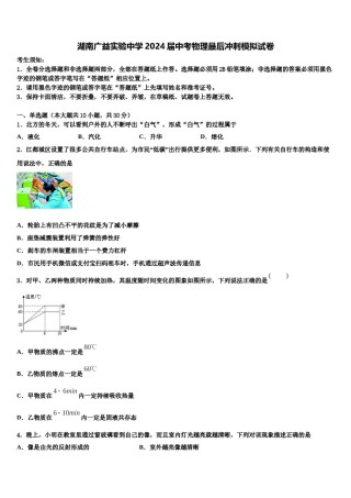 湖南广益实验中学2024届中考物理最后冲刺模拟试卷含解析.doc