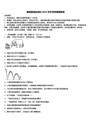 湖南望城金海校2024年中考物理猜题卷含解析.doc