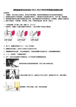 湖南省娄底市达标名校2023-2024学年中考物理全真模拟试卷含解析.doc