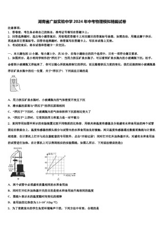 湖南省广益实验中学2024年中考物理模拟精编试卷含解析.doc
