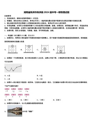 湖南省株洲市株洲县2024届中考一模物理试题含解析.doc