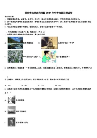 湖南省株洲市炎陵县2024年中考物理五模试卷含解析.doc