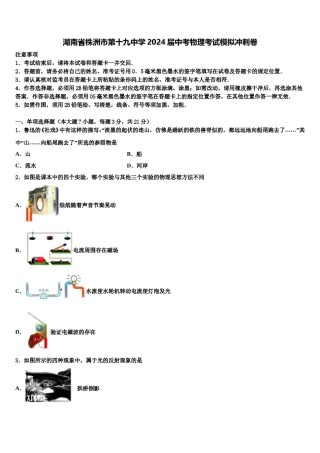 湖南省株洲市第十九中学2024届中考物理考试模拟冲刺卷含解析.doc