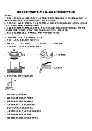 湖南省株洲市荷塘区2023-2024学年十校联考最后物理试题含解析.doc