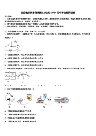 湖南省株洲市荷塘区达标名校2024届中考物理押题卷含解析.doc