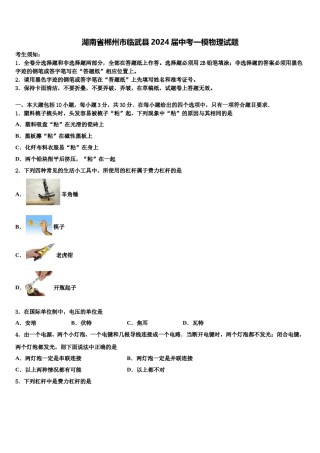 湖南省郴州市临武县2024届中考一模物理试题含解析.doc