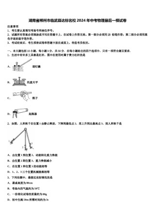 湖南省郴州市临武县达标名校2024年中考物理最后一模试卷含解析.doc