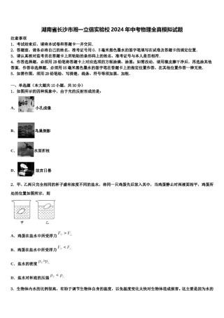 湖南省长沙市湘一立信实验校2024年中考物理全真模拟试题含解析.doc