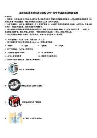 湖南省长沙市重点达标名校2024届中考试题猜想物理试卷含解析.doc