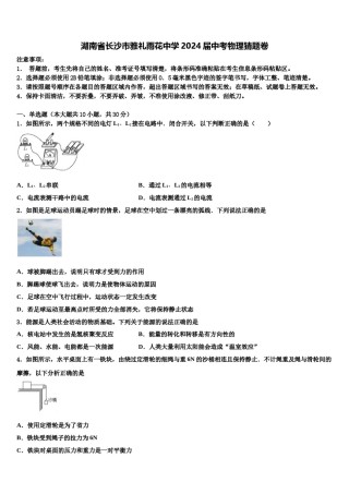 湖南省长沙市雅礼雨花中学2024届中考物理猜题卷含解析.doc
