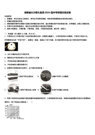 湖南省长沙雅礼集团2024届中考物理仿真试卷含解析.doc