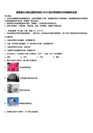 湖南省长沙麓山国际实验校2024届中考物理对点突破模拟试卷含解析.doc