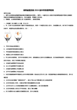 湖南省隆回县2024届中考物理押题卷含解析.doc