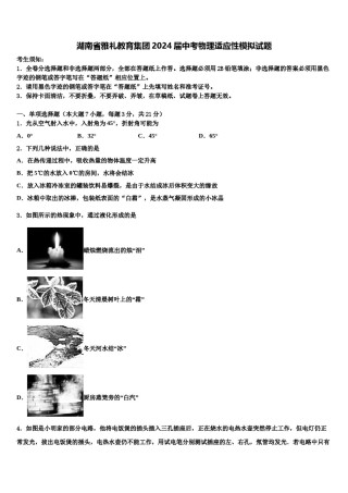 湖南省雅礼教育集团2024届中考物理适应性模拟试题含解析.doc