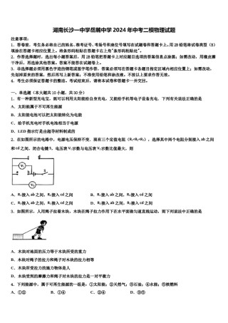 湖南长沙一中学岳麓中学2024年中考二模物理试题含解析.doc