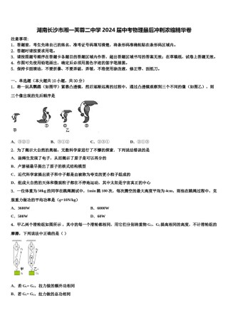 湖南长沙市湘一芙蓉二中学2024届中考物理最后冲刺浓缩精华卷含解析.doc