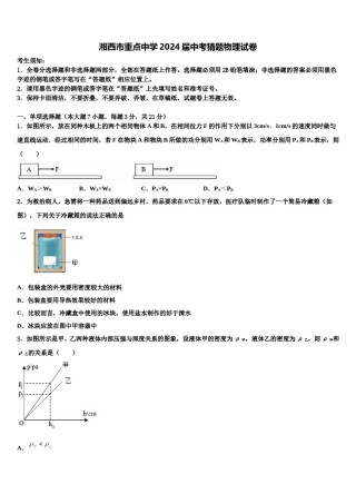湘西市重点中学2024届中考猜题物理试卷含解析.doc