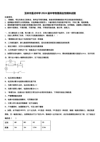 玉林市重点中学2024届中考物理适应性模拟试题含解析.doc