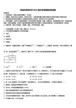 珠海市紫荆中学2024届中考物理模拟预测题含解析.doc
