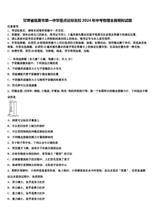 甘肃省临夏市第一中学重点达标名校2024年中考物理全真模拟试题含解析.doc