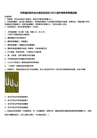 甘肃省庆阳市合水县达标名校2024届中考联考物理试题含解析.doc