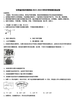 甘肃省庆阳市镇原县2023-2024学年中考物理仿真试卷含解析.doc