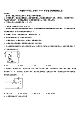 甘肃省榆中学县达标名校2024年中考冲刺卷物理试题含解析.doc
