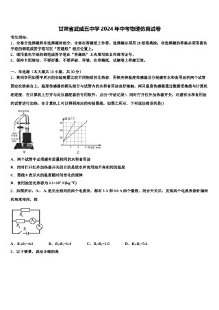 甘肃省武威五中学2024年中考物理仿真试卷含解析.doc