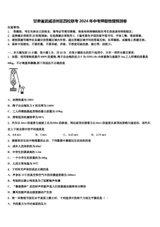 甘肃省武威凉州区四校联考2024年中考押题物理预测卷含解析.doc