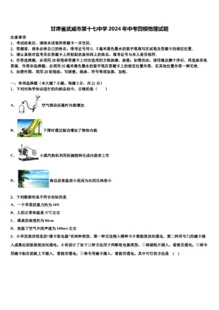甘肃省武威市第十七中学2024年中考四模物理试题含解析.doc