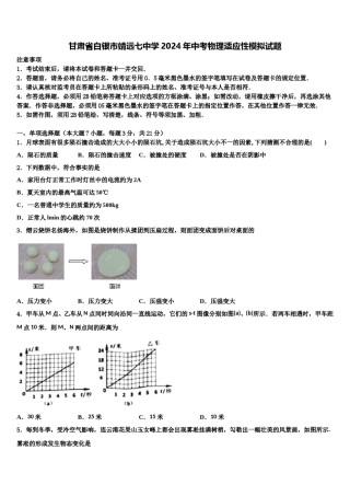 甘肃省白银市靖远七中学2024年中考物理适应性模拟试题含解析.doc