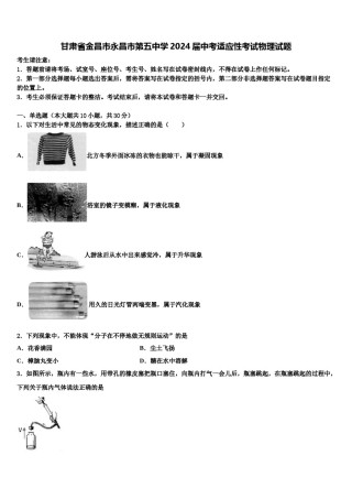 甘肃省金昌市永昌市第五中学2024届中考适应性考试物理试题含解析.doc