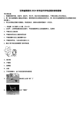 甘肃省陇南市2024年毕业升学考试模拟卷物理卷含解析.doc