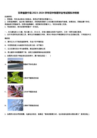 甘肃省静宁县2023-2024学年初中物理毕业考试模拟冲刺卷含解析.doc