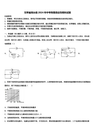 甘肃省高台县2024年中考物理适应性模拟试题含解析.doc