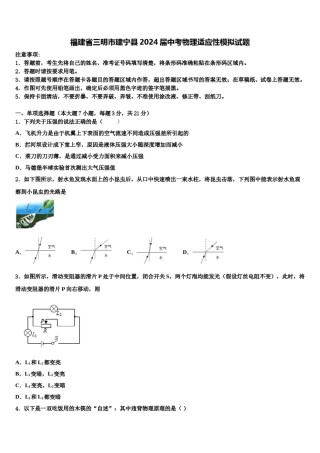 福建省三明市建宁县2024届中考物理适应性模拟试题含解析.doc