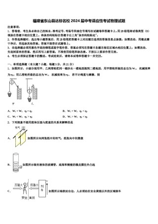 福建省东山县达标名校2024届中考适应性考试物理试题含解析.doc