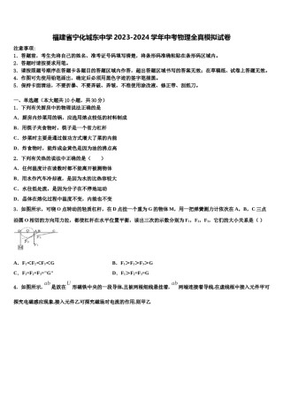 福建省宁化城东中学2023-2024学年中考物理全真模拟试卷含解析.doc