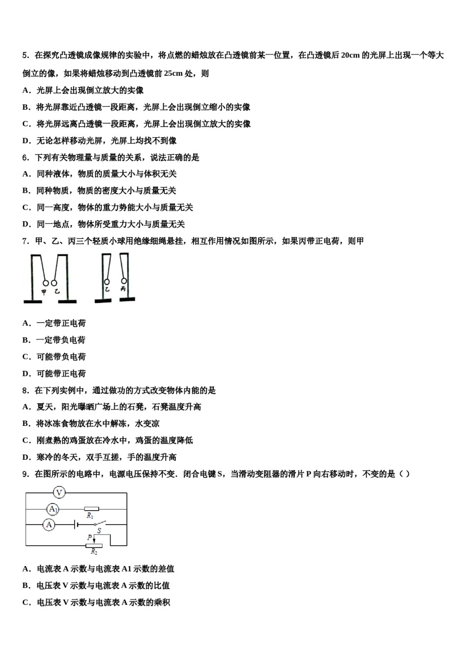 福建省泉州市南安市达标名校2024年中考物理押题试卷含解析.doc_第2页