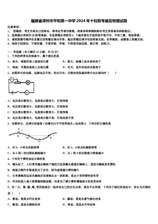福建省漳州市平和第一中学2024年十校联考最后物理试题含解析.doc