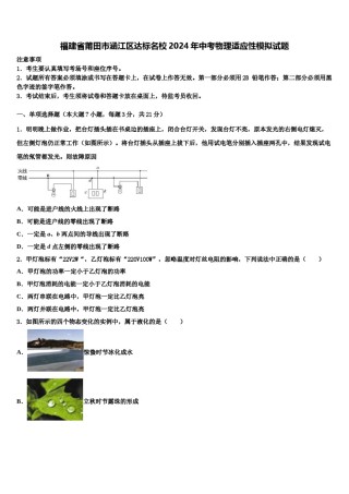 福建省莆田市涵江区达标名校2024年中考物理适应性模拟试题含解析.doc