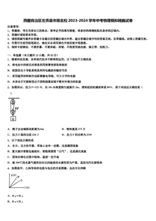 西藏自治区左贡县市级名校2023-2024学年中考物理模拟精编试卷含解析.doc