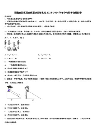 西藏自治区昌吉州重点达标名校2023-2024学年中考联考物理试卷含解析.doc