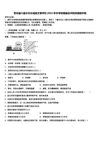 贵州省六盘水市水城县文泰学校2024年中考物理最后冲刺浓缩精华卷含解析.doc
