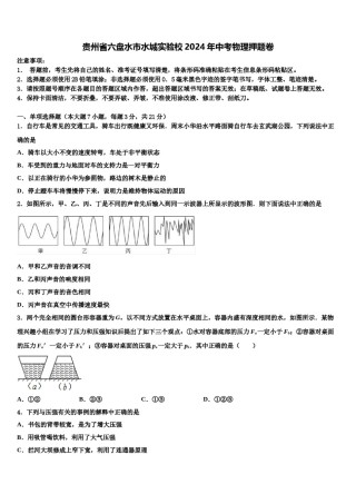 贵州省六盘水市水城实验校2024年中考物理押题卷含解析.doc