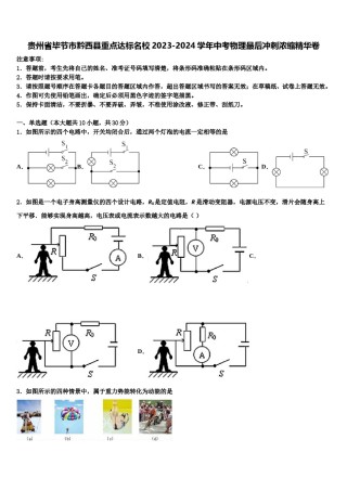 贵州省毕节市黔西县重点达标名校2023-2024学年中考物理最后冲刺浓缩精华卷含解析.doc