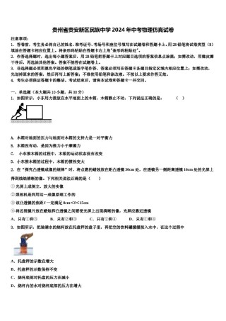 贵州省贵安新区民族中学2024年中考物理仿真试卷含解析.doc