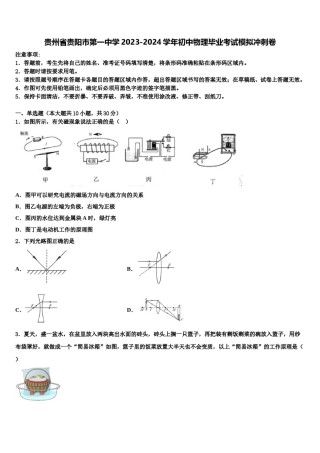 贵州省贵阳市第一中学2023-2024学年初中物理毕业考试模拟冲刺卷含解析.doc